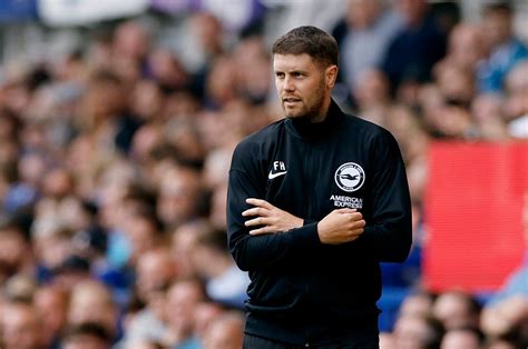 new manager for brighton.